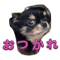 shun_20250313104905