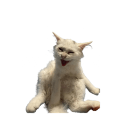 ABC_20250313003328