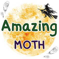 MOTH Amazing One word e
