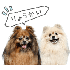 StampNo:4917