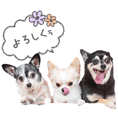 StampNo:4924