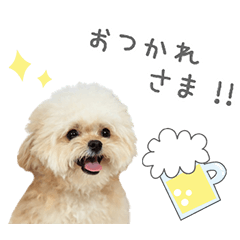StampNo:4919