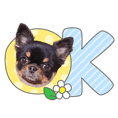 StampNo:5009