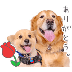 StampNo:5008