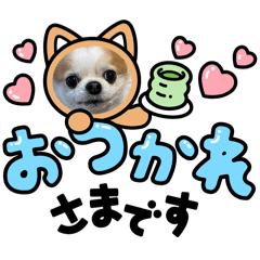 mush_20250313115651