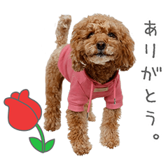 StampNo:5001