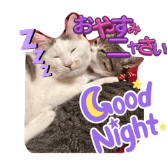 saori_20250312211058