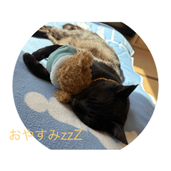 sachi_20250313100505
