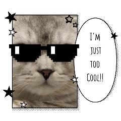Cool kaz(cat)