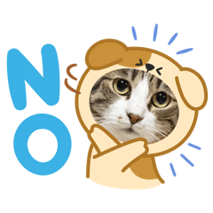 Mew_20250312193755