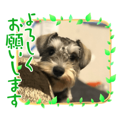 ally_20250312204031