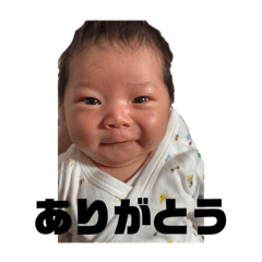 Mochi_20250312220428