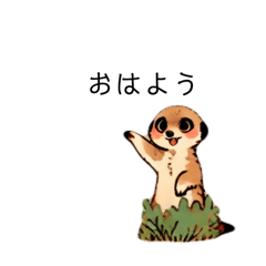 mike_20250312193306