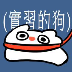 應該是教育實習仔