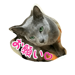 sticker of cute cats in nekomocafe 2