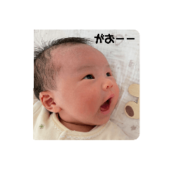 pipi_20250313130315