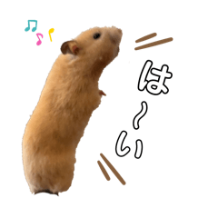 potato_20250313132802