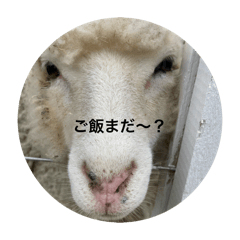 nozomi_20250313133104