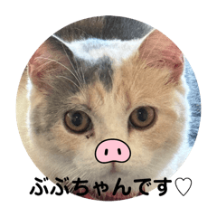 kazuki_20250313202334