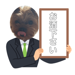 lily_20250313180635