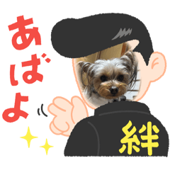 lily_20250313181847