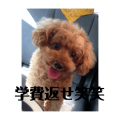 moko_20250313181206