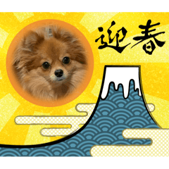 pon_20250313180647