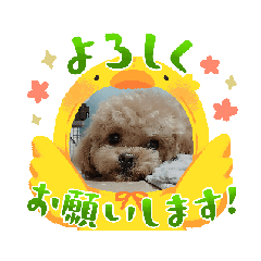 zen_20250313195344