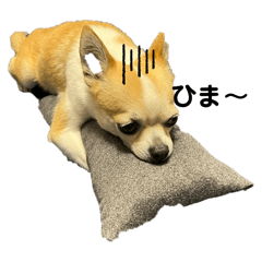 take_20250313223518