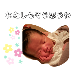 haruru_20250313224735