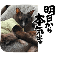 kyoko_20250314023225