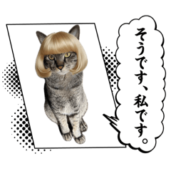 yoko_20250313170405