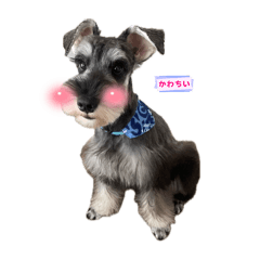 yama_20250313165932