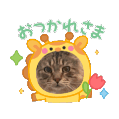 mao_20250313172524
