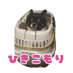 yuzu_20250313231335