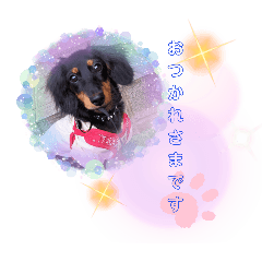 kiki_20250314094102