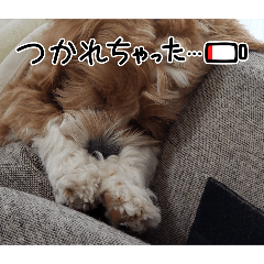 mochi_20250314094137