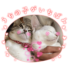 saori_20250314101117