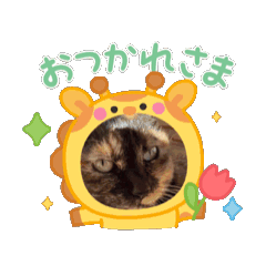 Nami_20250314021557