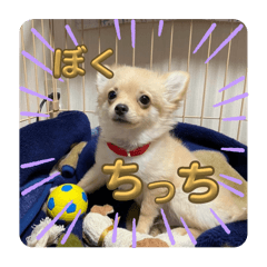 matsushita_20250313214446