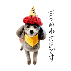 Lemon_20250313220312