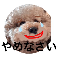 yoko_20250313215905