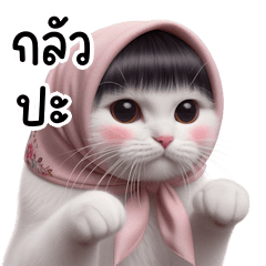 แมวบ๊อบโพกหัวกลัวฝุ่น PM (BIG) v.2
