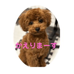 Riku_20250313174306