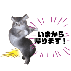 猫のだいふく＆こふく スタンプ