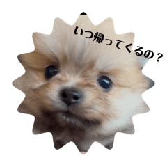 mugi_20250313175346