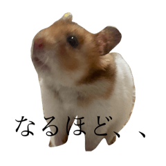 Mei_20250314000539