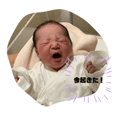 TAKA_20250314002009