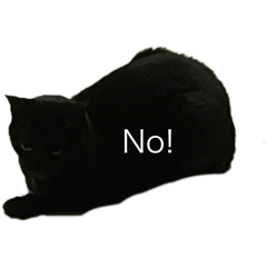 Yoshidacat