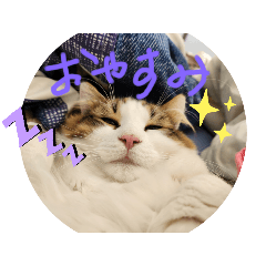 haru_20250313192805